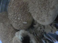 -上好酥烧饼(虹桥中心店)