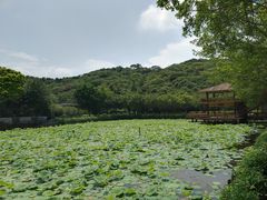 -李小龙乐园(顺德均安店)
