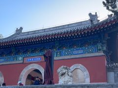 -北京鹫峰国家森林公园