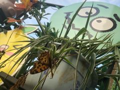 -胡桃里音乐酒馆(溧水店)