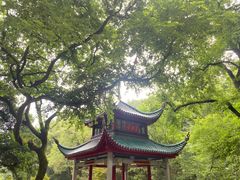 -岳麓山风景名胜区