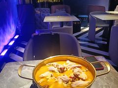 -Darling Queen·Mini·Live·House