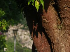 -龙环葡韵住宅式博物馆