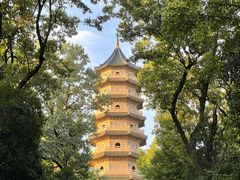 -灵谷景区