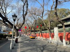 -北京国子监胡同