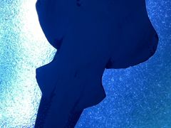 -珠海长隆海洋王国