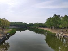 -大兴滨河森林公园