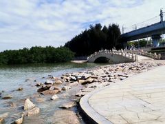 -宝安西湾红树林湿地公园