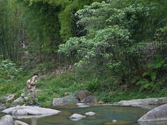 -广州白江湖森林公园