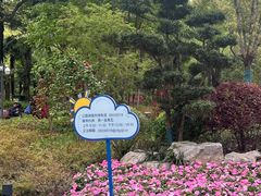 -和平公园
