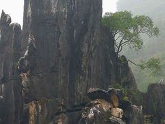 -玉石林风景区