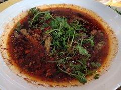 -胖大姐黄辣丁鱼庄(新津店)