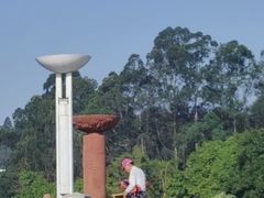 -三水森林公园