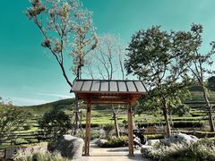 -龙坞茶村