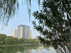 -后襄河公园