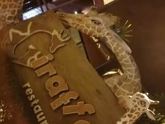 -清迈夜间动物园