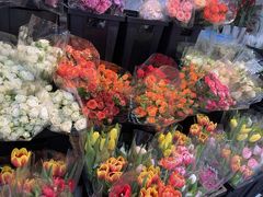 -循礼门鲜花花市(武汉循礼门店)