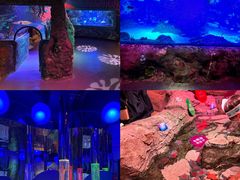 -沈阳海洋探索中心