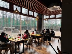 -上海野生动物园老虎餐厅