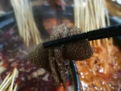 -都善和记洛阳涮牛肚(丰产路店)