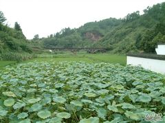 -潜口民宅博物馆
