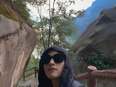 -铁山坪森林公园