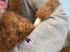 -萌兽医馆·犬猫专科·眼科中心·宠物医院(朝阳门分院)