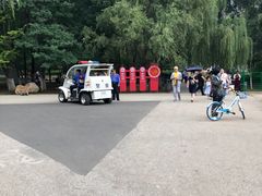-长白岛森林公园