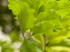 -十贰席·煨汤·台州菜(襄阳南路店)