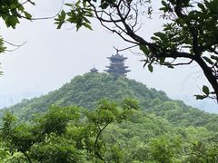 -杭州半山国家森林公园