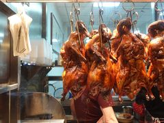 -聂记粤菜馆(鼓西路店)