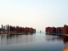-咬不得高祖生煎·简餐(高银街店)