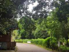 -三门江国家森林公园