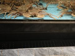 -阿伟海鲜楼·福建菜(延寿店)