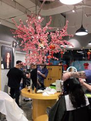 -时尚殿堂明星门店