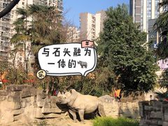 -成都动物园