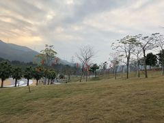 -白石龙音乐公园