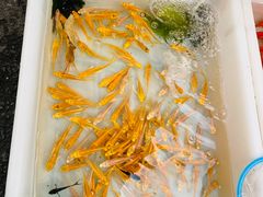 -清平路水族市场