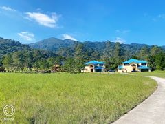 -海南热带雨林国家公园吊罗山景区