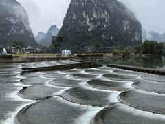 -明仕田园