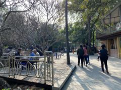 -晓港公园