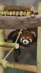 -Zoolung Zoolung动物主题公园(海信广场店)