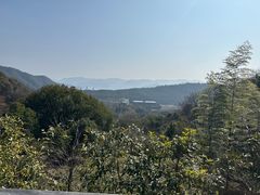 -羡餐厅·杭帮菜·淳菜(千岛湖自由洲际殿店)
