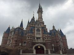 -迪士尼火鸡腿