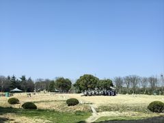 -东方绿舟景区