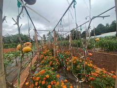 -昆明春城湖畔度假村