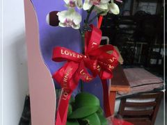 -FEI FEI FLOWER鲜花店·气球派对·宝宝宴布置(虹口德必运动Loft店)