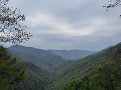 -五女峰国家森林公园