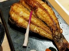 烤六线鱼-琴寿司居酒屋(中山广场店)
