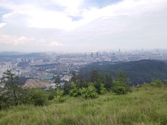 -长虫山生态公园风景林